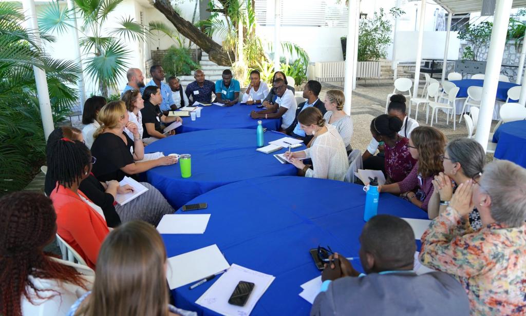 Entrepreneurs and NGOs Collaborate to Fight Poverty in Haiti - Partners ...