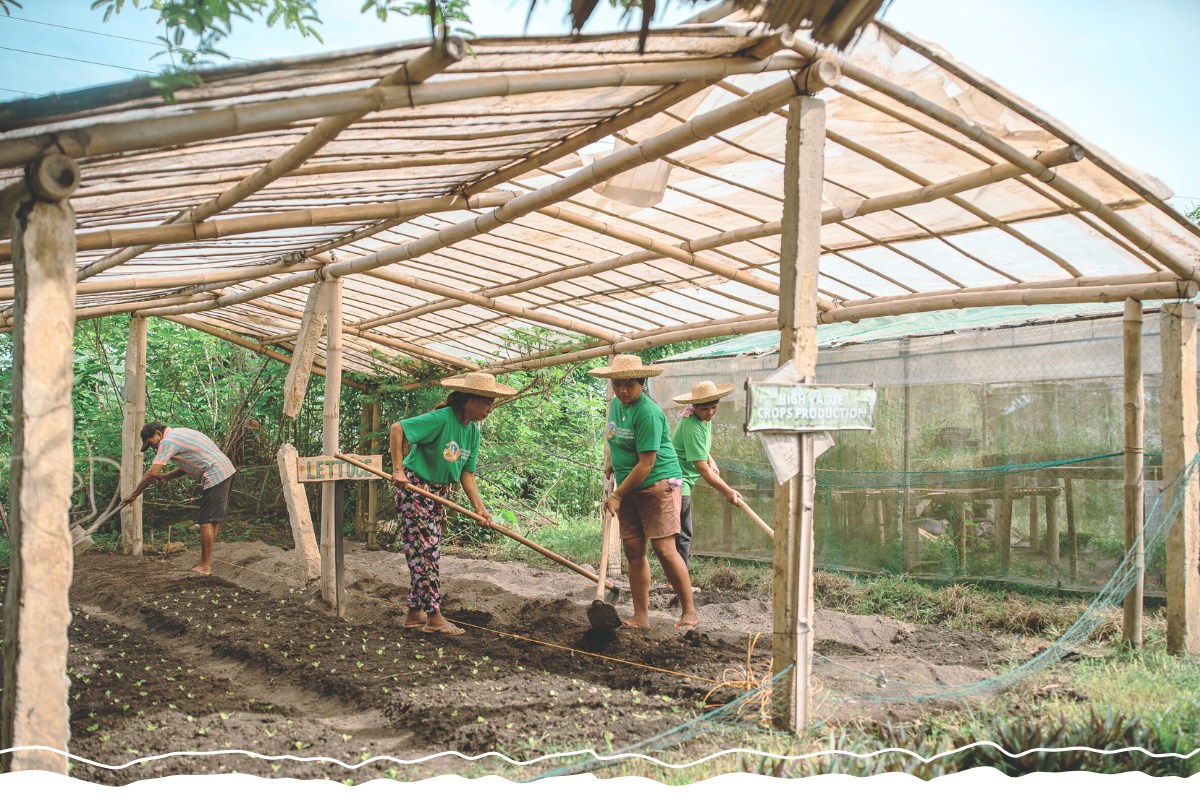 four people work inside a greenhouse structure