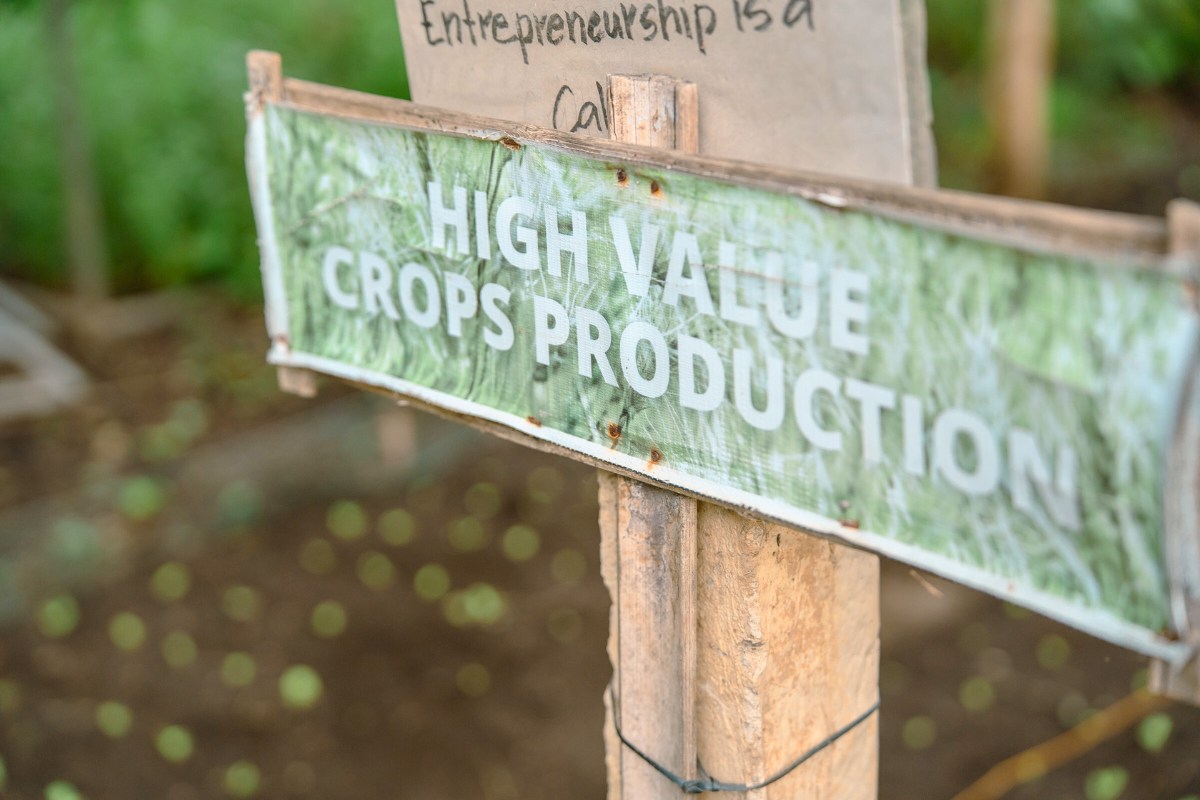 "Entrepreneurship is a calling" - Al added signs around his farm  based on the mindsets from the PW micro-enterprise curriculum.