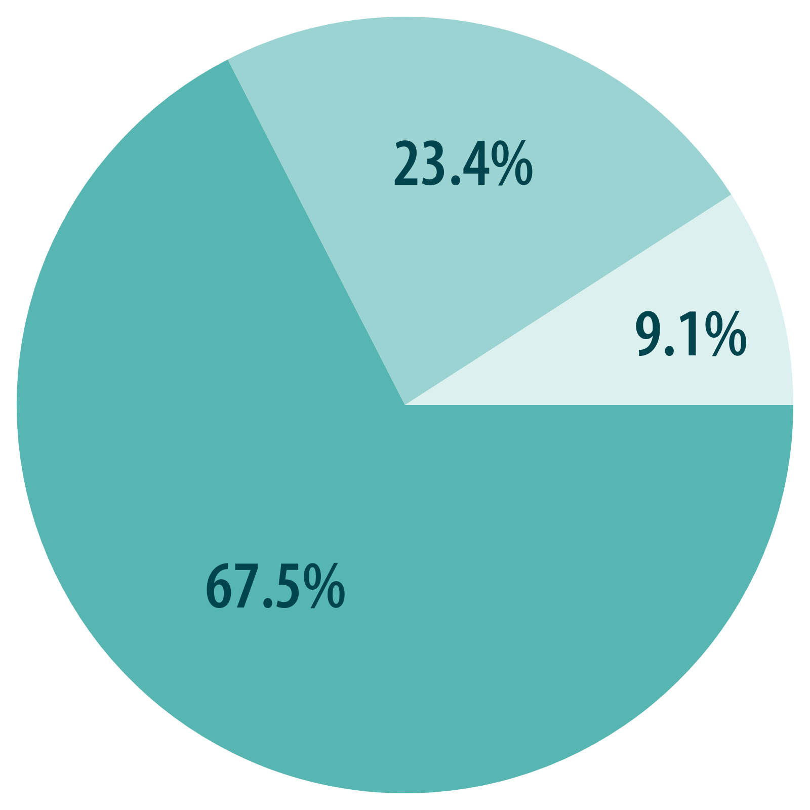 2024 Annual Report Total Revenue