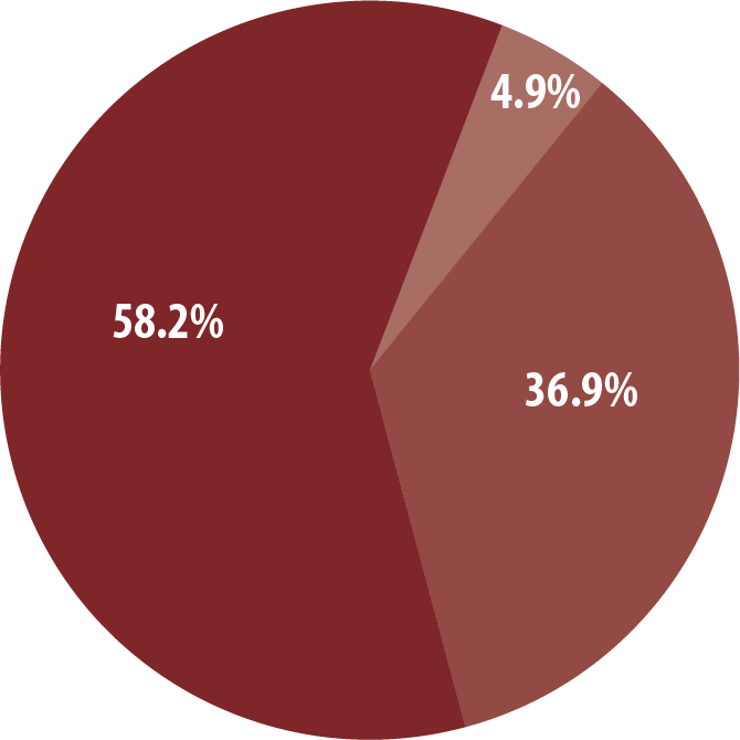 pie-size-2024